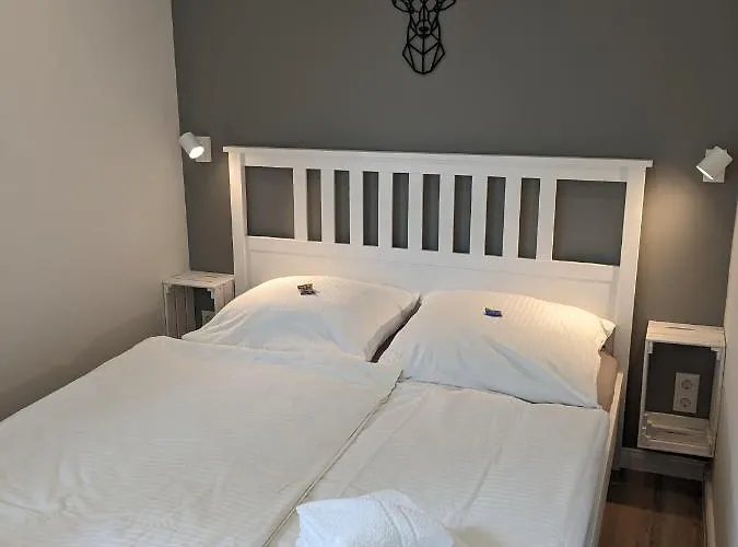 Ruhiges Mit Sauna: Hellaberg Iii Langenbach