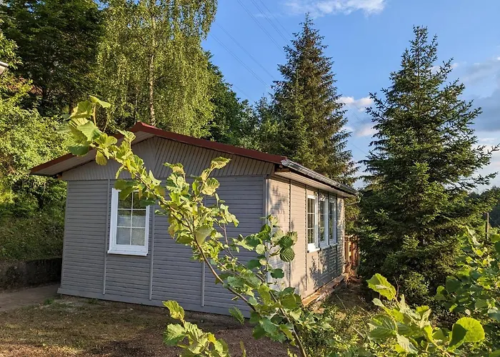 Ruhiges Mit Sauna: Hellaberg Iii Langenbach